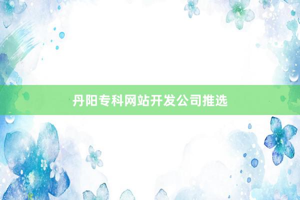 丹阳专科网站开发公司推选