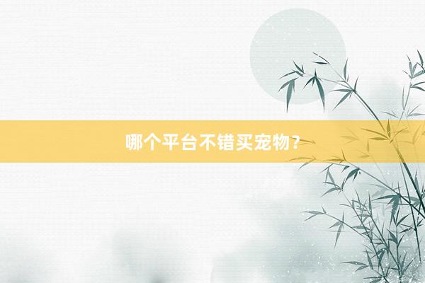 哪个平台不错买宠物？